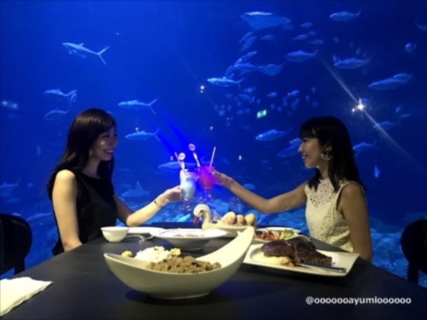 水族館レストランで気分は海底ディナー？