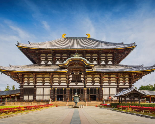 Discover Nara Nara Park