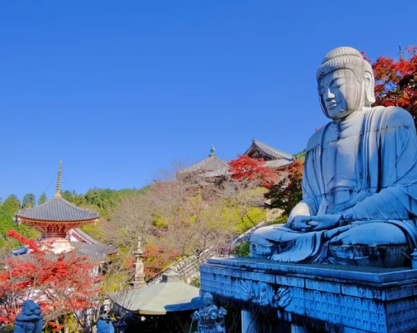 Discover Nara Nara Park