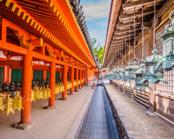 Discover Nara Miwa Somen