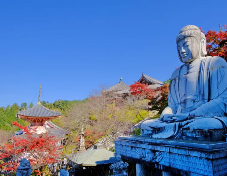 Autumn Leaves Buddha and Mt.Yoshino with Orange Picking Tour