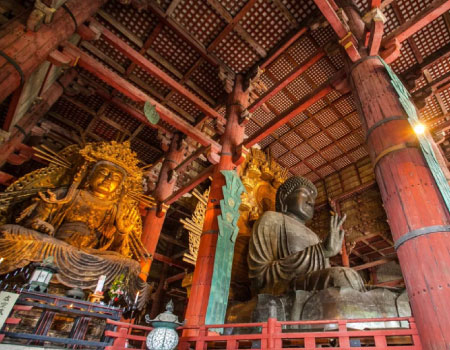 Nara Half Day Bus Tour from Kyoto