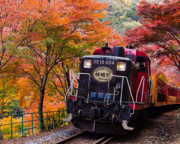 Discover Arashiyama