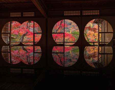 Half Day in Kyoto Arashiyama with Lunch in a Temple Private Tour