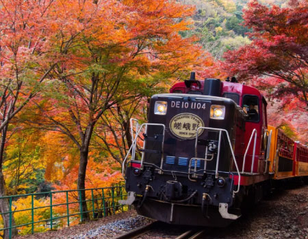 Kyoto Sagano Romantic Train in Arashiyama Bus Tour