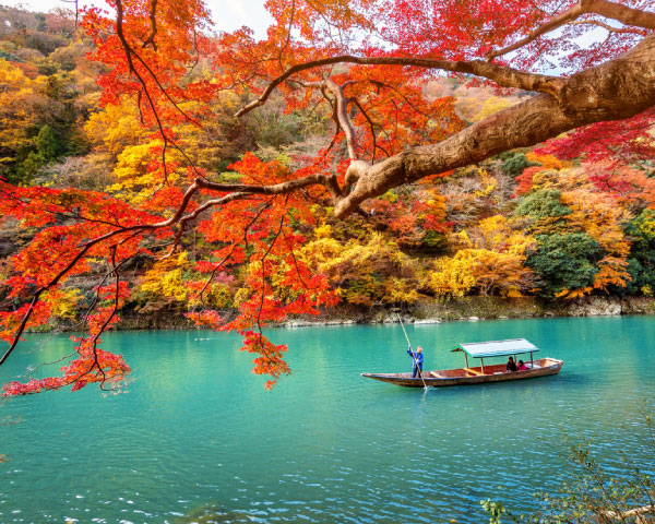 Discover Kyoto Experience