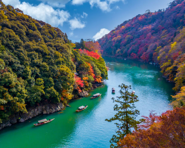 Discover Kyoto Experience