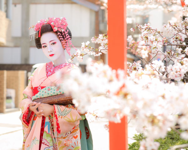 Discover Kyoto Experience