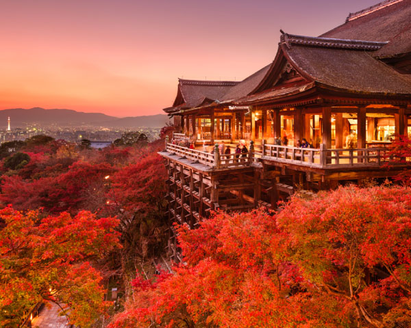 Discover Kyoto