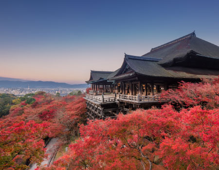 Kyoto 1 Day Golden Route Bus Tour