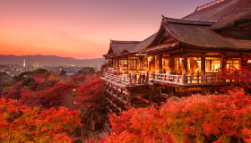 Kyoto and Nara Golden Route 1 Day Bus Tour