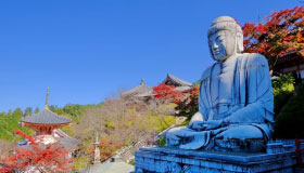 Kyoto Golden Route Day Trip Bus Tour