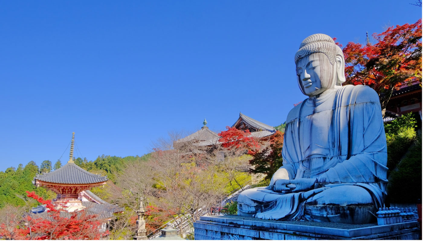 Autumn Leaves Buddha and Mt.Yoshino with Orange Picking Tour