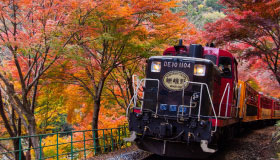 Sagano Romantic Train For Spring in Arashiyama Bus Tour