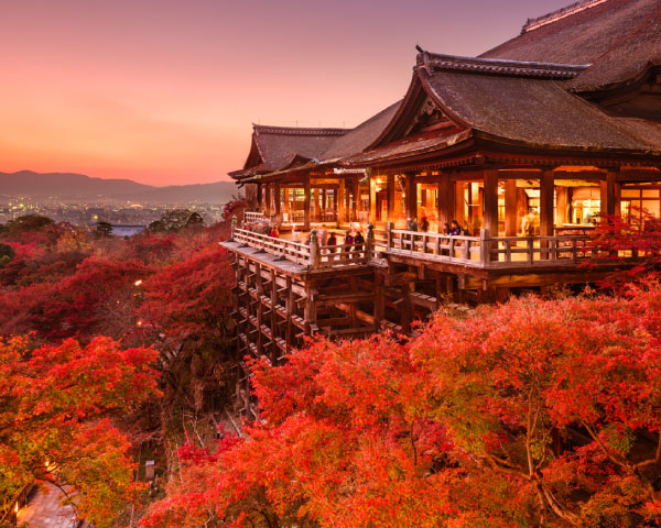Kyoto and Nara Golden Route 1 Day Bus Tour