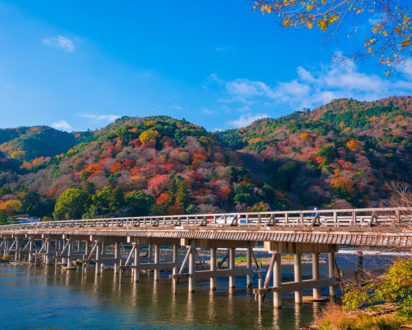 Kyoto and Nara Golden Route 1 Day Bus Tour