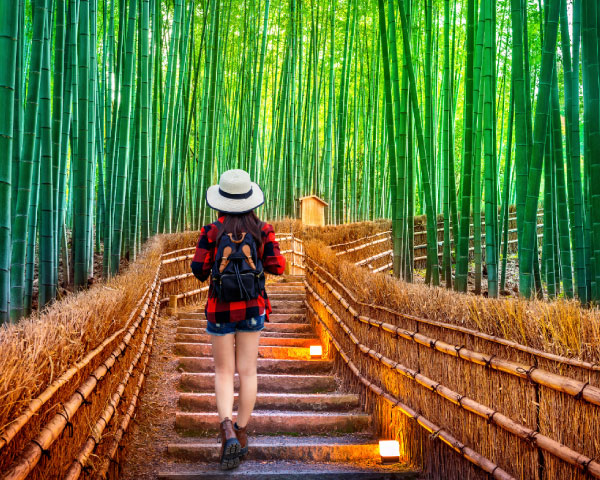 Kyoto and Nara Golden Route 1 Day Bus Tour