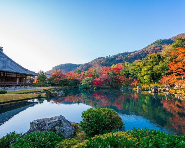 Kyoto and Nara Golden Route 1 Day Bus Tour
