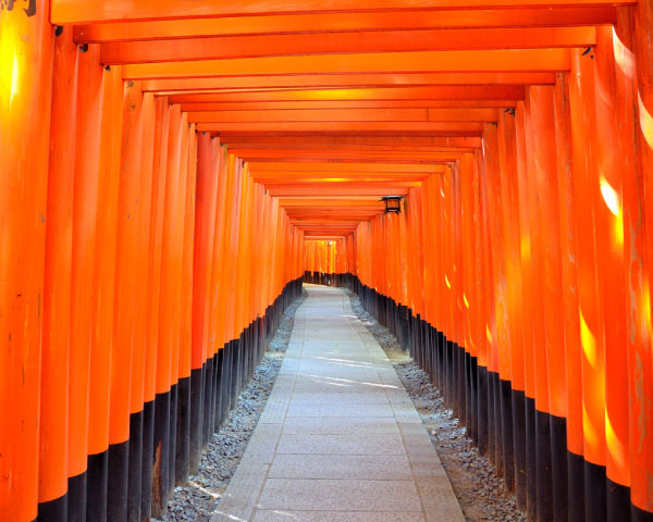 Kyoto and Nara Golden Route 1 Day Bus Tour