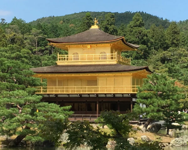 Kyoto and Nara Golden Route 1 Day Bus Tour