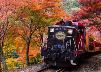 Kyoto & Nara Seasonal Tour
