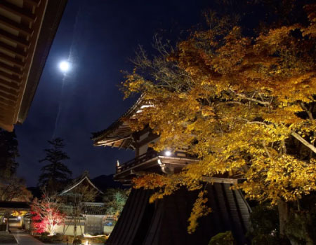 Enjoy Shiga Autumn,Shopping and Ropeway Bus Tour