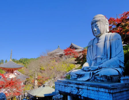 Summer Riverside Terrace Evening Dining with Geisha performance at Momiji-ya