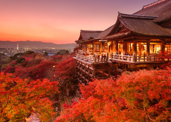 Discover Kyoto