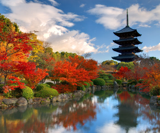 Nara City:Autumn Leave from Osaka
