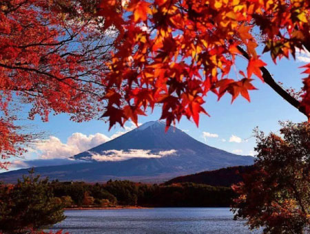 Mt. Fuji, Panoramic Ropeway & Seasonal Fruits Picking