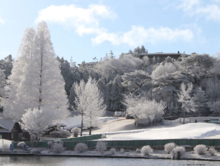 Play with Snow! Crab Buffet Lunch and Strawberry Picking Bus Tour