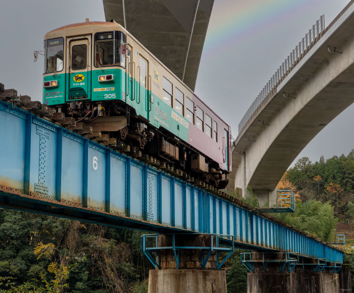 Kurobuta shabu-shabu