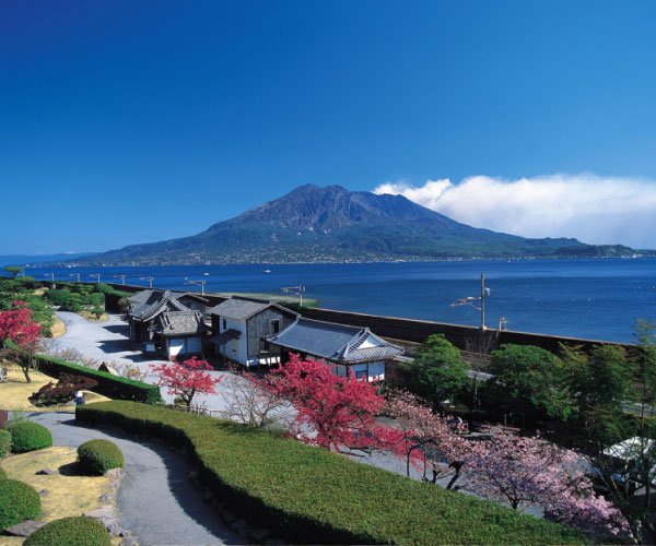 Kagoshima Senganen & Sakurajima Half-Day Bus Tour