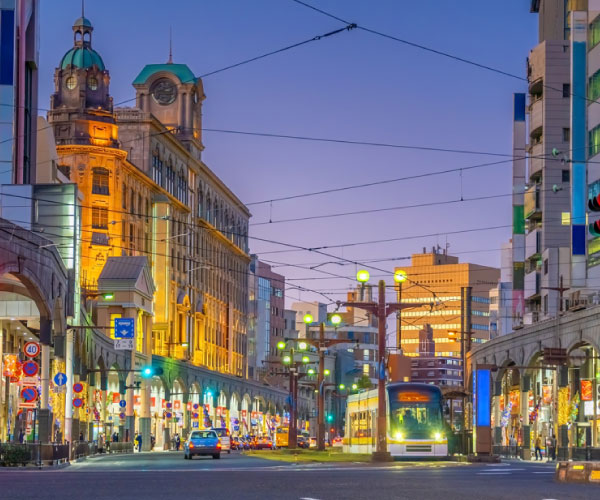 Kagoshima Senganen & Sakurajima Half-Day Bus Tour