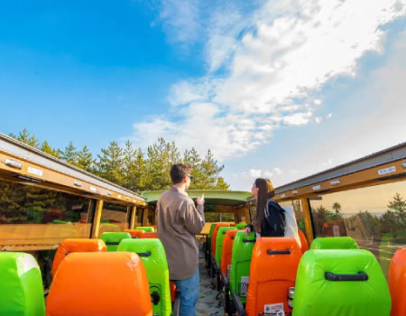 Open-Top Bus Kagoshima City & Sakurajima Enjoyment Tour