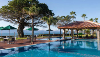 Kagoshima Tour From Fukuoka