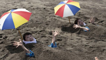 Discover Ibusuki - Chiran