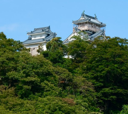 Echizen Ono Castle