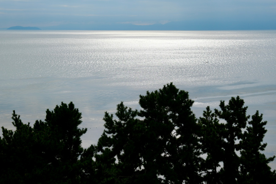 Lunch at Sennaritei Daidai