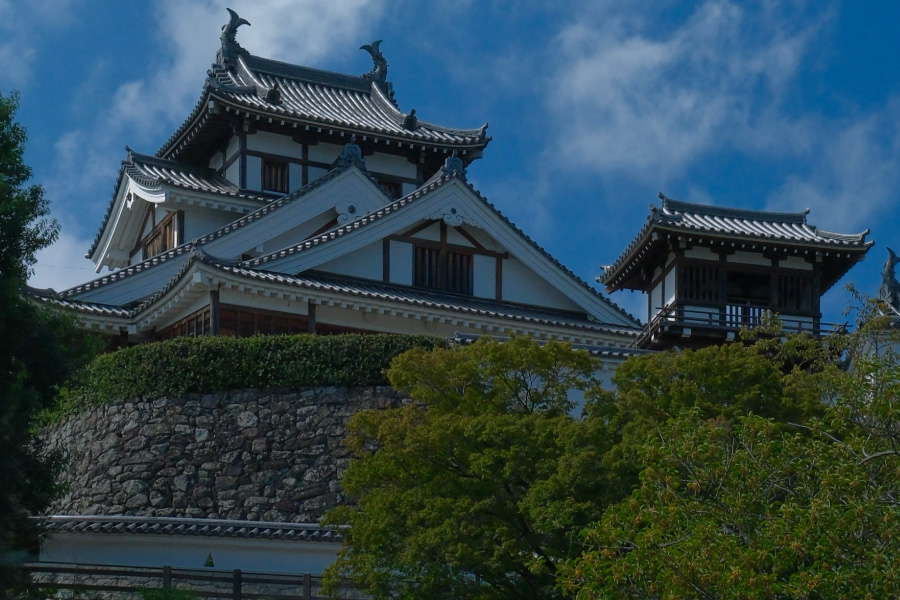 Fukuchiyama Castle