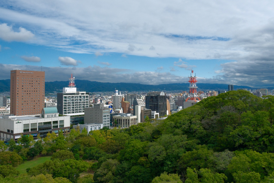 Wakayama Castle