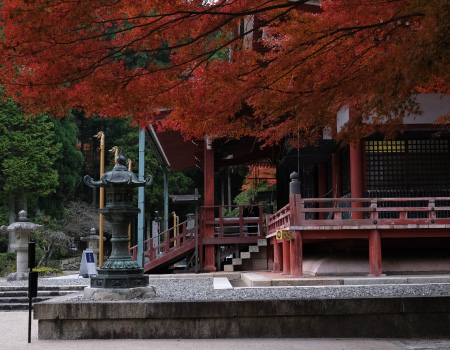 Enryaku-ji Temple on Mt. Hiei