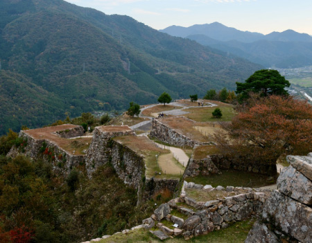 Takeda Castle