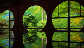 Nara Half Day Golden Route Bus Tour