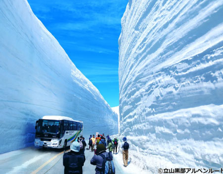 Tateyama Snow Wall 1 Day Bus Tour 2026