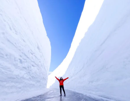 Tateyama Kurobe Snow Wall 2026 Festival 1 Day Bus Tour
