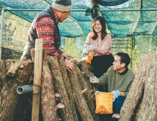 Cultural Experiences in Central Japan