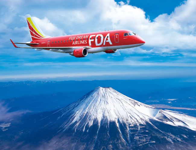 Domestic Air Ticket & Private Transfer from Airport to Hotel