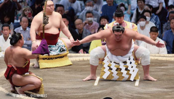 Nagoya Grand Sumo Watching Tour 2024
