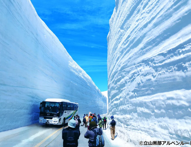 Snow Wall Bus Tour with English Speaking Guide